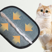 Guante quitapelos con gato